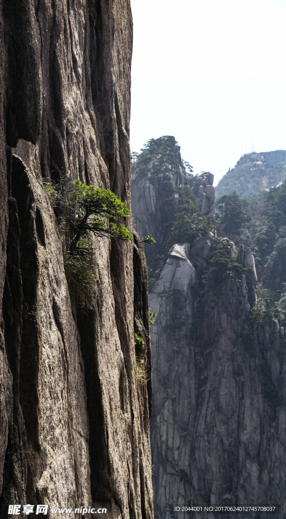 奇峰绿树