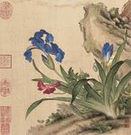 郎世宁 花鸟图