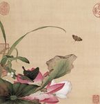 郎世宁 花鸟图
