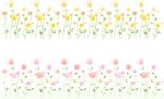 矢量花边花纹底纹