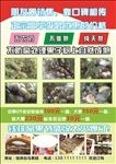 三华李宣传 三华李价格表