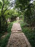 山间小路