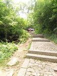 山间小路