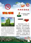 吸烟的危害