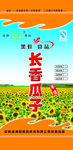 瓜子 广告