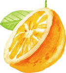 香橙