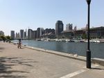 海河