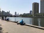 海河