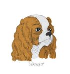 手绘线描宠物狗头矢量图下载