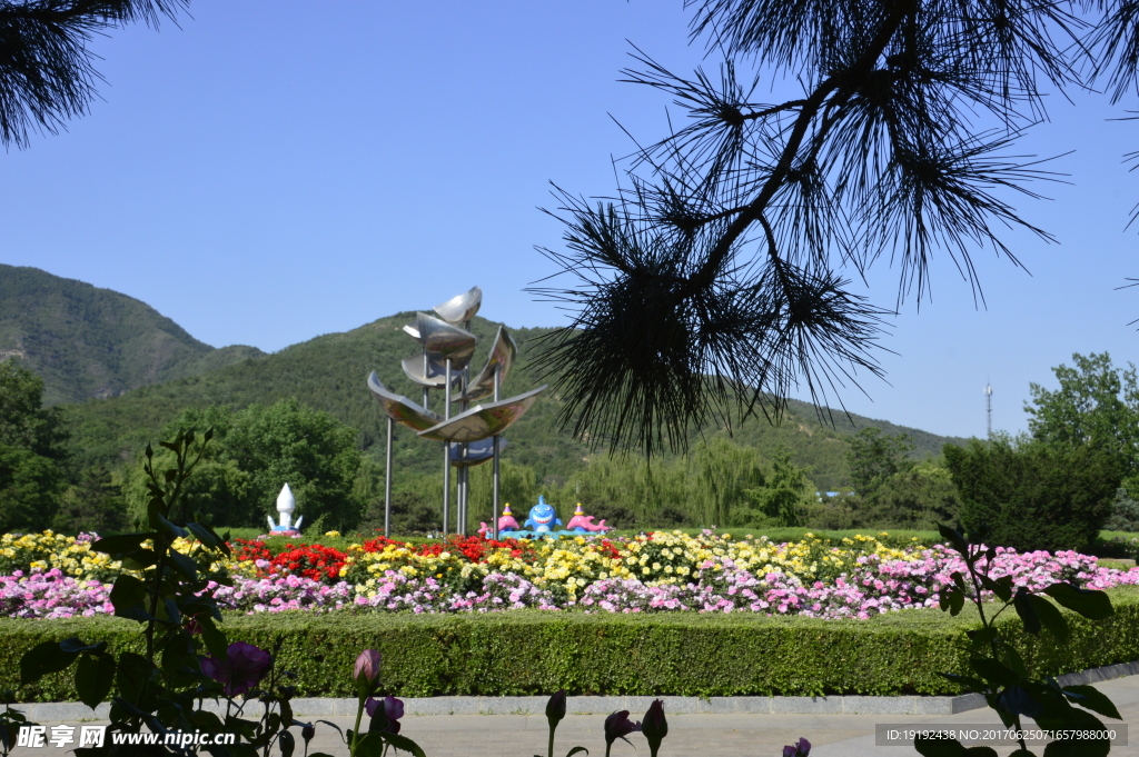 植物园美景