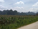 自然风景