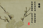 忆梅