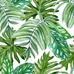 热带植物树叶四方连续底纹