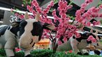 奶牛桃花