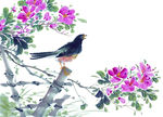 鸟 紫色 小鸟在树上 花开富贵