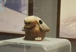 兔子