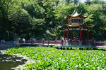 丹东 锦江山公园 亭子
