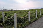 玫瑰海岸护栏