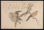 日本浮世绘 日本名画 浮世绘