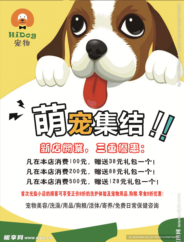 宠物传单