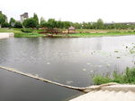 公园湖面