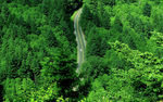 盘山公路