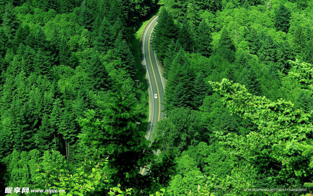盘山公路