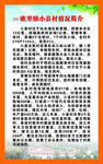 村情民史