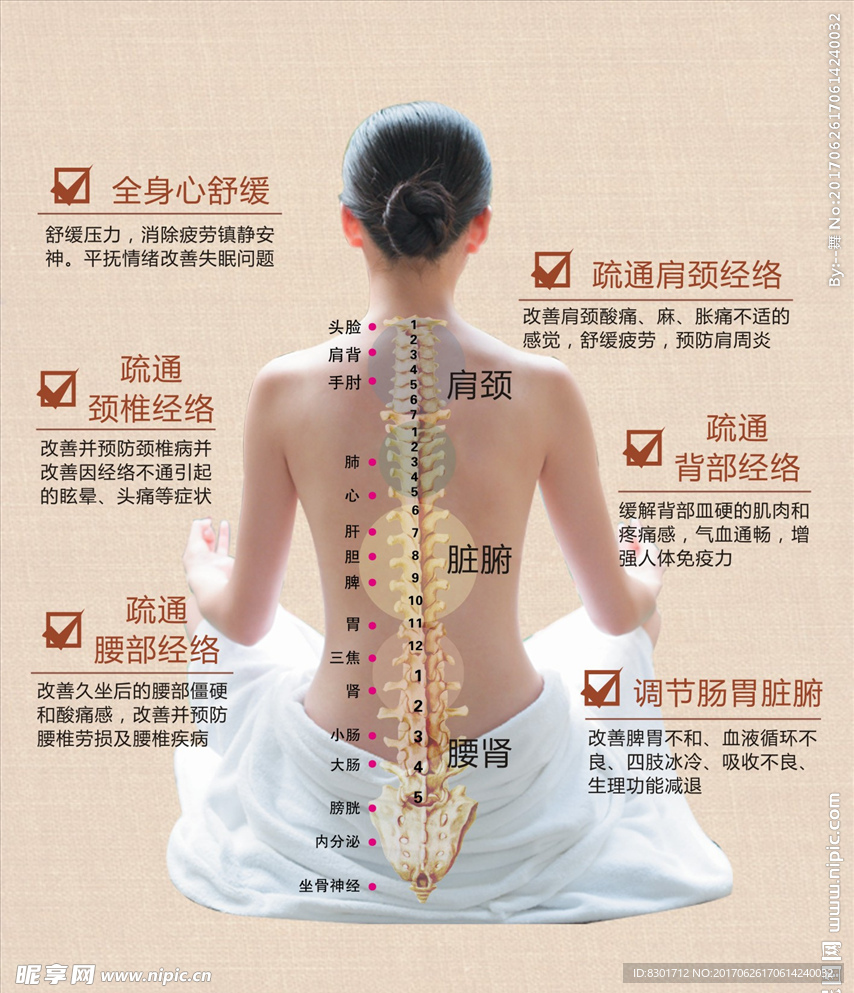经络图  养生