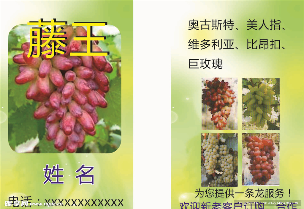 葡萄名片