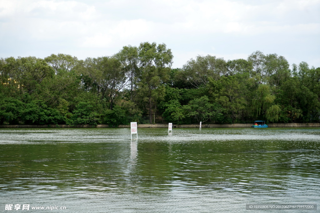 沈阳北陵公园 湖 树