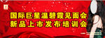正大女神见面会