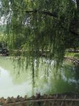 无锡山水风景