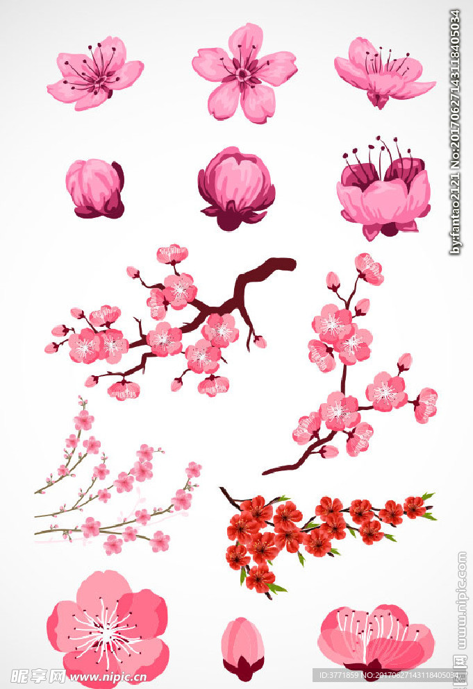 桃花