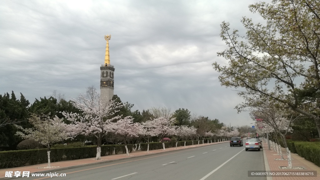 樱花季节的旅顺友谊塔