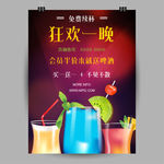 女士单身之夜海报
