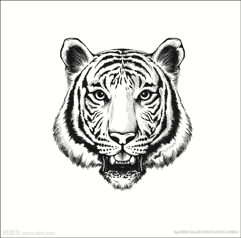 2022生肖代表老虎头手绘 设计图__野生动物_生物世界_设计图库_昵图网nipic.com