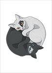 手绘线描黑猫白猫矢量图下载