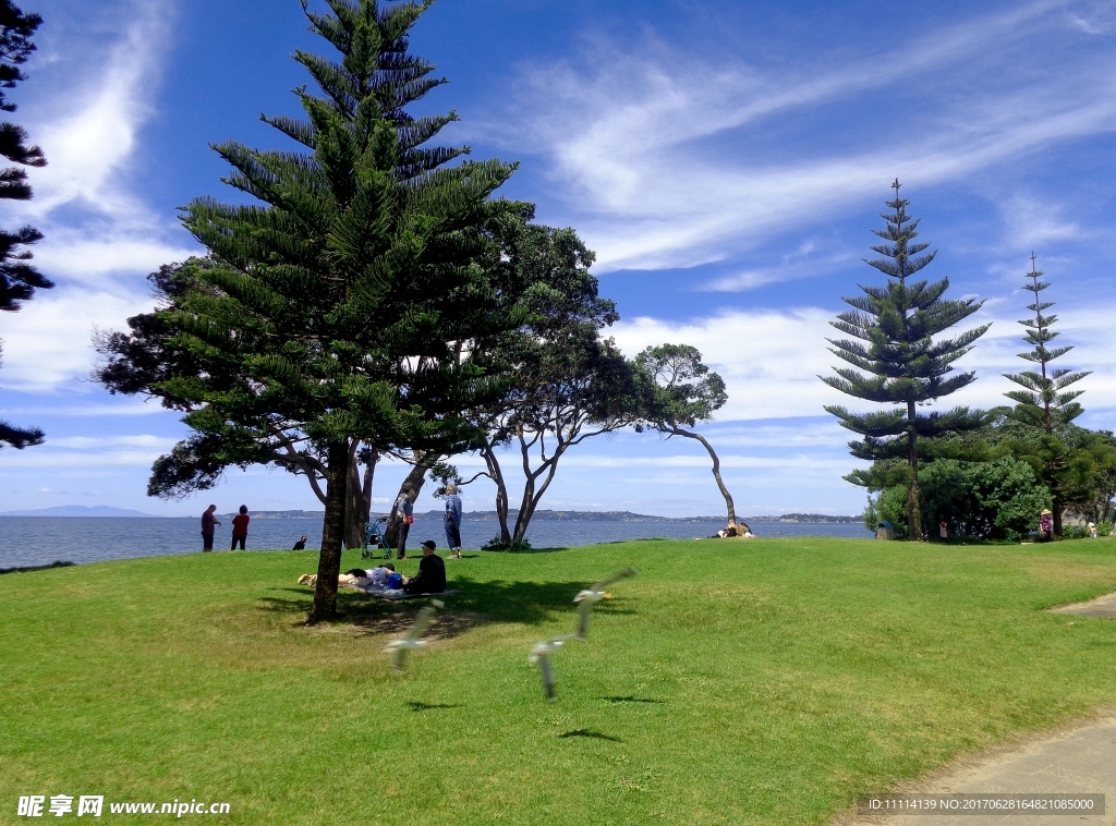 新西兰海滨公园风景