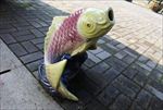 鲤鱼