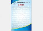 公司介绍