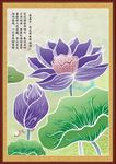 西湖荷花