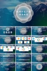 调查报告PPT