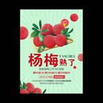 杨梅