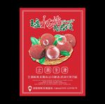 杨梅
