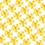 黄花