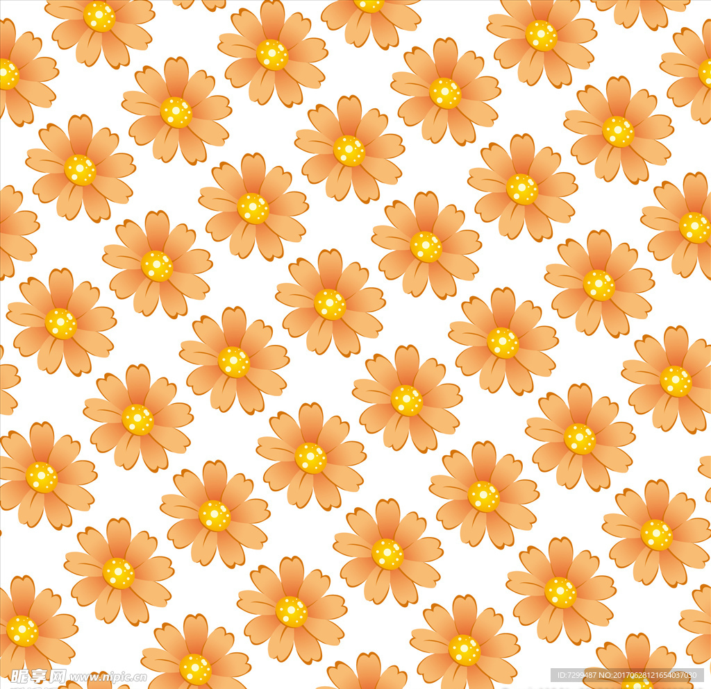大黄花