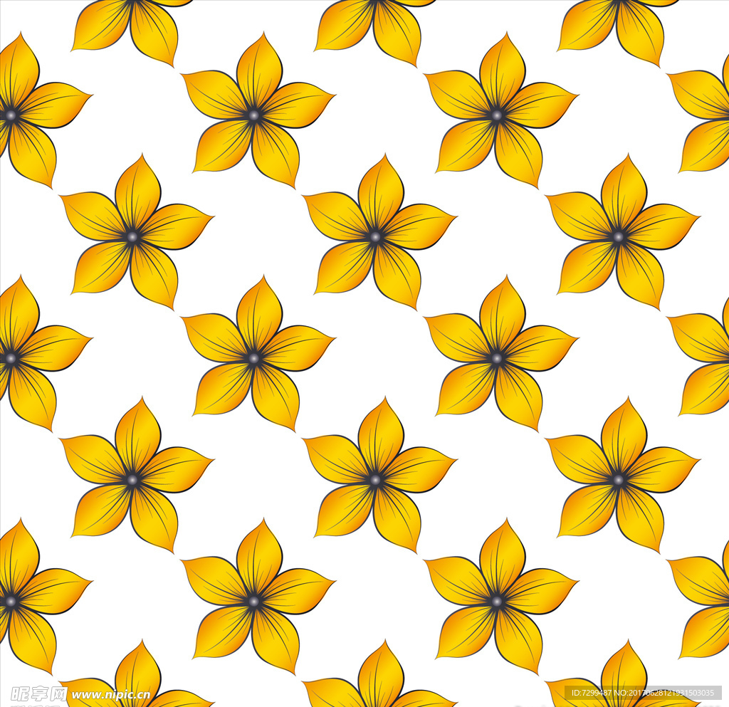 小黄花