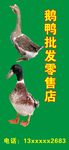 鸭子招牌