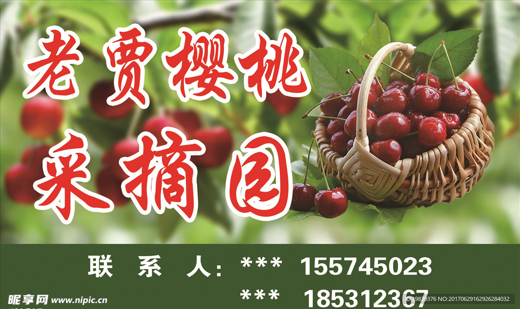 樱桃采摘园海报